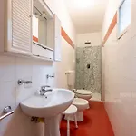 Appartement Bagnolo By Interhome *